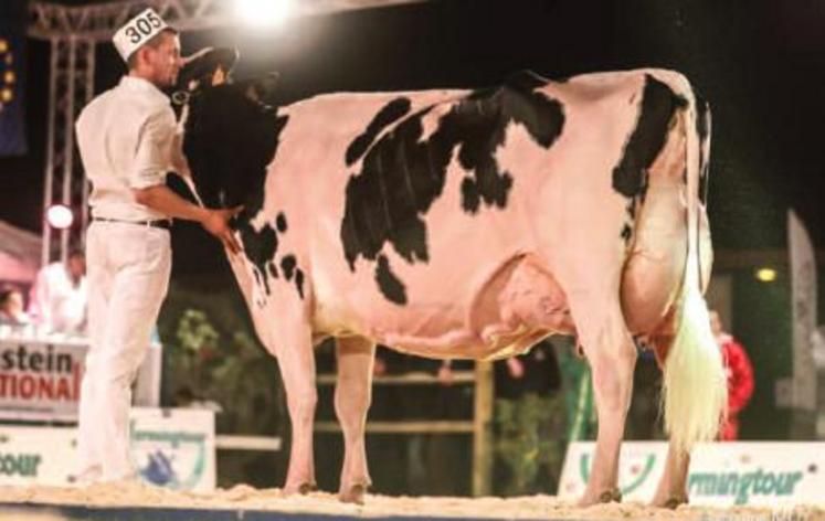 Pom'Ivanessa, du Gaec Pom'Holstein (35) a remporté le titre de championne Suprême des races laitières au farmingtour 2018.