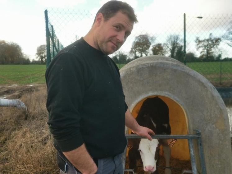 Samuel Gouel élève des vaches laitières de la race montbéliarde. Une partie de ses veaux mâles part à l’export pour l’Espagne.