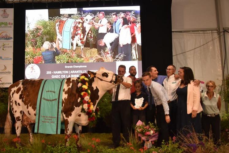 Hamilton a déjà gagné deux fois le Salon de l'agriculture.