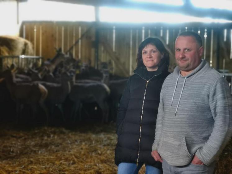 Céline et Florent Raimbault élèvent des faons, biches et cerfs à Courbeveille et commercialisent leur production dans leur boucherie à Cossé-le-Vivien.