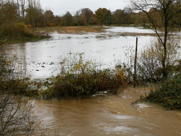 Parcelles ennoyées à Montigné-le-Brillant, mercredi 27 novembre 2019.