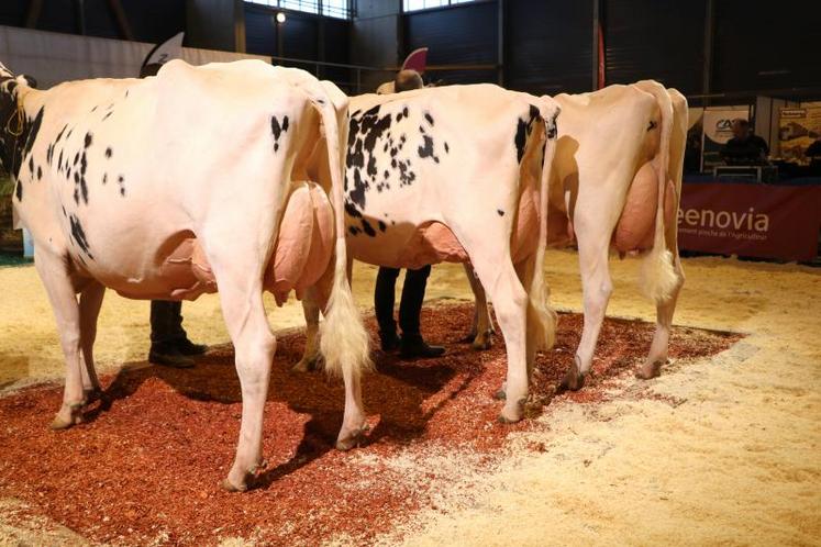 Il n'y aura pas de concours régional PH en Mayenne cette année. La Covid-19 a eu raison de cette édition que PH53 préparait depuis un an.