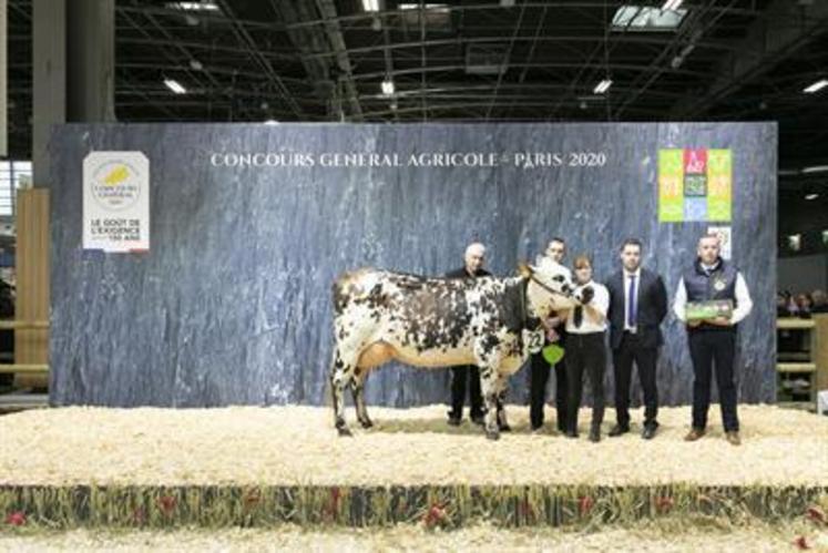 Lady JG, du Gaec de la Guilbaudière à Saint-Ouen-des-Toits obtient la 4e place de la section des « femelles suitées ».