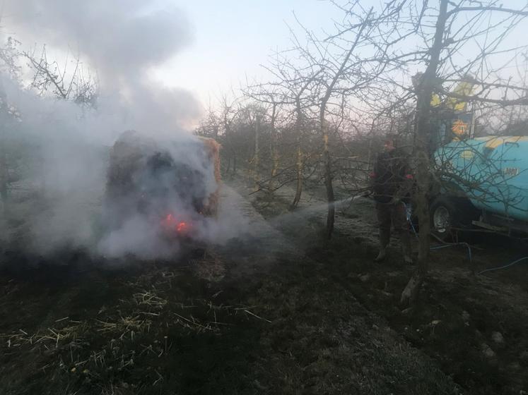 Feu de paille dans les vergers pour limiter les impacts du gel.