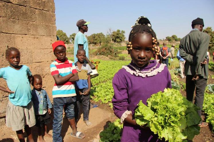 Depuis six ans, Afdi Pays de la Loire est partenaire de l’Association des jeunes agriculteurs du gouvernorat de Gafsa, dans l’ouest tunisien.