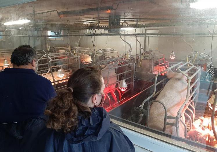 Grâce au partenariat entre Pôle Emploi et l’Anefa 53, des demandeurs d’emploi peuvent découvrir de près ce que peut leur proposer l’agriculture. Ici dans pendant la visite de l’atelier porcin de l’Agricampus de Laval.