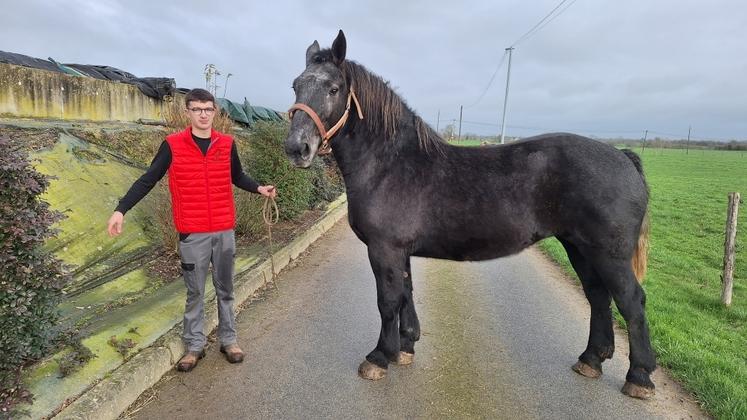 Baptiste Vallée, 17 ans, présentera Noblesse de la Noë, une pouliche de 3 ans, au SIA. Il participera également au concours de jeunes pointeurs en filière équine.