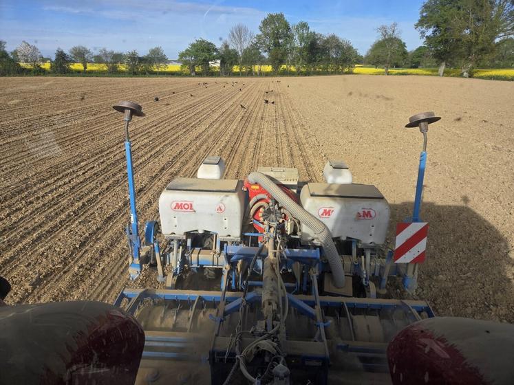 "Démarrage des semis de maïs (et sa poussière) avec dix jours d'avance... Il ne faut pas laisser la terre au vent et au soleil trop longtemps !", commentait le vendredi 10 avril dernier Mickaël Guilloux, agriculteur à Astillé.