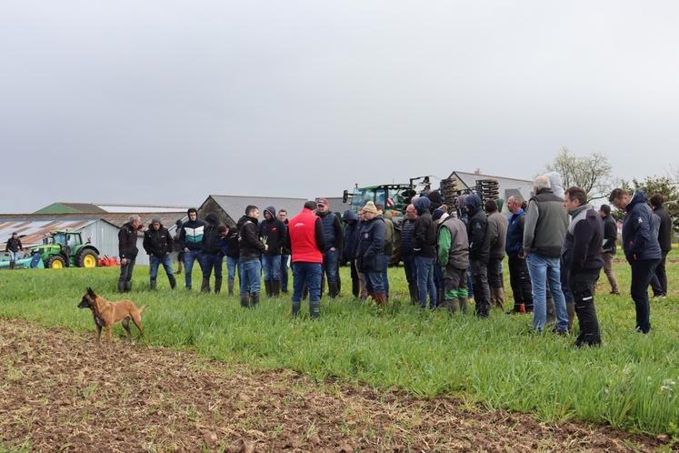 De nombreux intéressés se sont réunis sur l'exploitation de Jean-Luc Ronceray, à La Barcoisière (La Bigottière).