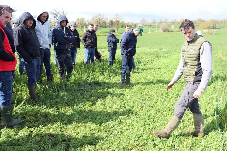 Arnaud Cozannet, consultant en agronomie Seenovia, faisant le bilan juste après le passage d'un outil de destruction de couverts végétaux.