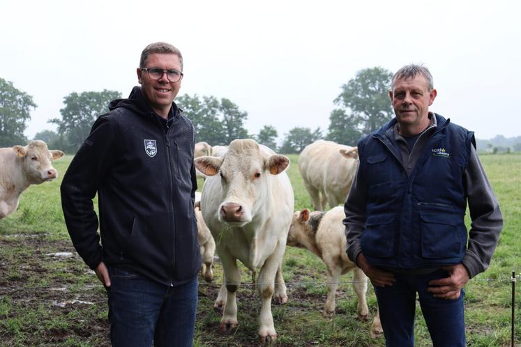 Jérôme Auffray (à gauche), éleveur à La Baconnière, et Stéphane Hervais, éleveur à Chémeré-le-Roi et président de l'association des éleveurs Charolais de la Mayenne.