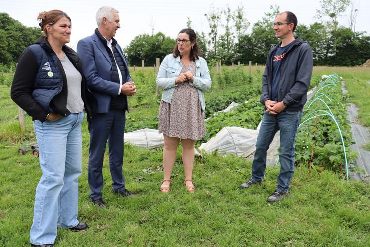 De gauche à droite : Sylvia Goisbault, Dominique Guineheux, Maude Laurent et Étienne Restif devant les fraisiers des Douceurs du Chêne, arrosés au goutte à goutte. 