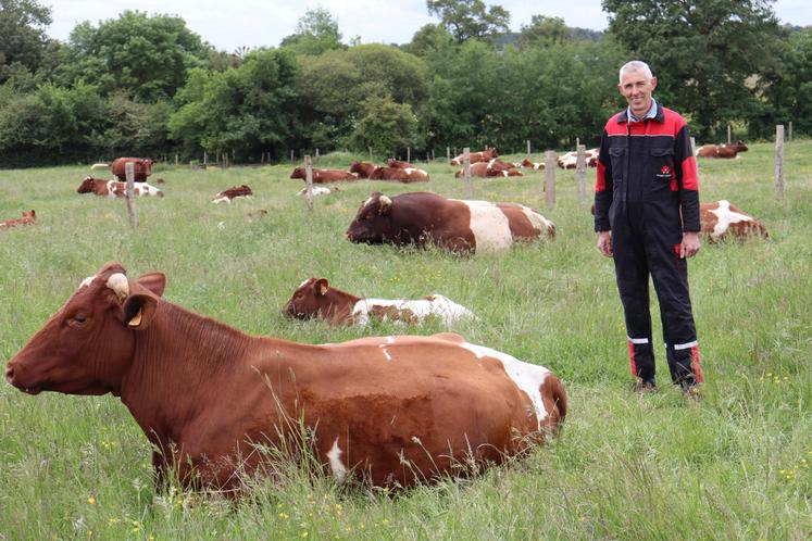 Didier Hestault au milieu de son troupeau de Rouges des Prés, au lieu-dit La Pinsonnière à Ruillé-Froid-Fonds. Le vendredi 19 juin, il accueillera sur ses terres la journée Innov'Action "viande bovine".