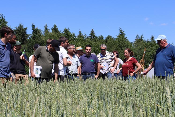 Jeudi 21 mai, de 14h à 17h, plusieurs ateliers, consacrés à la gestion des adventices dans les rotations, se sont enchaînés sur la plateforme expérimentale de Saint-Fort dans le cadre d'une rencontre technique organisée par la Chambre d'agriculture.