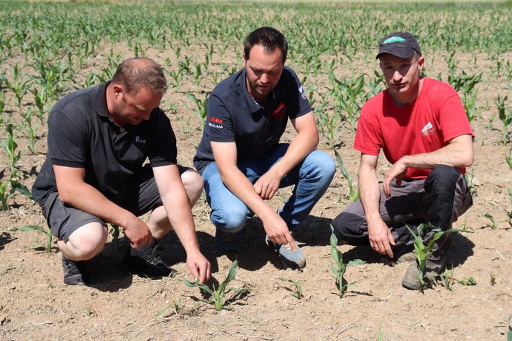 Les trois associés du Gaec des Baronnières, à Nuillé-sur-Vicoin. De gauche à droite : Vincent Destouches, Mickaël Hessant et Yoann Pichon.