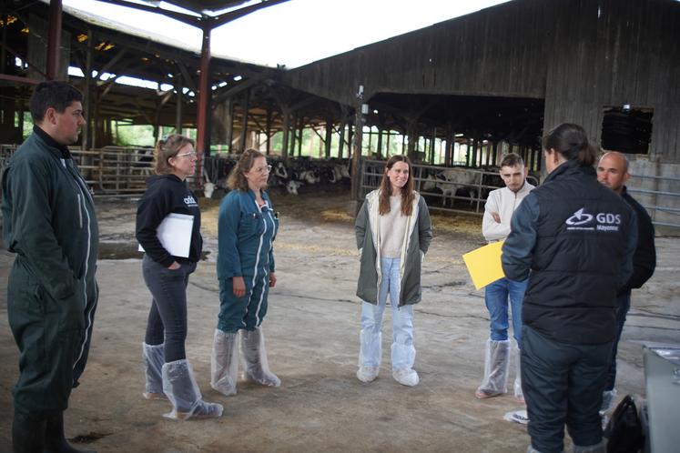 Le groupe de six éleveurs intégrés à l'action veau se retrouve pour la deuxième fois.
