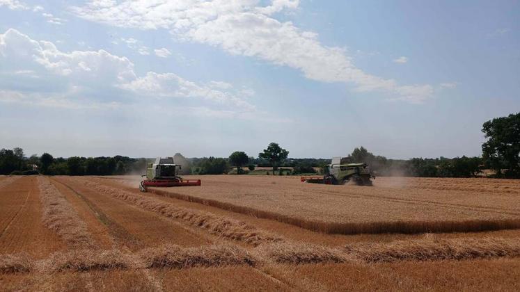 "Avec deux machines dans le champ, ça va tout de suite plus vite", commente David Cadet, qui a fait appel à l'entreprise Agrimaine et à ses salariés pour réaliser ses moissons.
