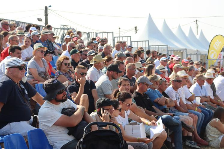 Samedi 18 juillet, en fin de journée et une fois les concours régionaux ou départementaux terminés, les spectateurs ont pris place dans les gradins du Cima 53 pour assister à la toute première vente de reproducteurs. 