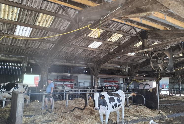 En urgence, les frères Trémeau ont acheté des tuyaux et récupéré un ancien pulvé afin d'arroser les vaches en bâtiment.