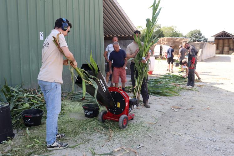 Des dizaines d'agriculteurs ont participé à la première journée 2026 de matière sèche (JMS) proposée en Mayenne. "Des rencontres pour définir la date de récolte de vos maïs", présente l'entreprise Seenovia.