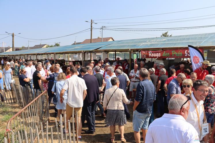 La délégation des officiels devant le stand du syndicat Rouge des Prés 53. « En 2028, nous aurons notre concours National au Cima, ici à Mayenne. Monsieur le maire, il faudra garder des subventions de côté pour nous », a gentiment glissé Pascal Laigle, président du syndicat, à Adrien Mottais, maire de la Ville de Mayenne.