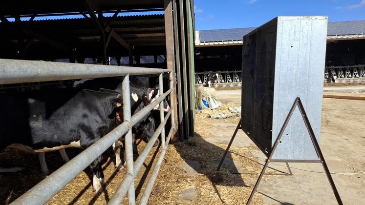 Côté génisses et vaches taries, c'est un ancien ventilateur de poulailler qui a été installé.