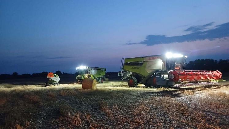 Moissons de nuit pour l'entreprise Agrimaine, chez David Cadet. "Nous avons battu toute la nuit du vendredi au samedi et le lendemain matin. Nous étions sous arrêté préfectoral canicule juste avant. On a préféré assurer le coup. Il n'y avait pas d'urgence", commente l'éleveur.