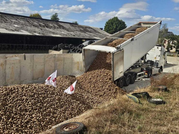 Pour les livraisons dans 13 exploitations, 23 camions ont été nécessaires.