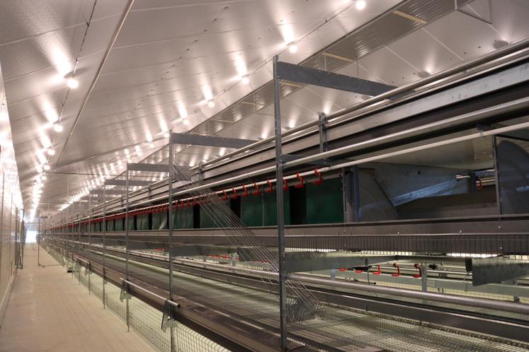 Selon le cahier des charges "bien-être animal" de Noréa, les poulettes sont élevées en volière (photo prise avant l'arrivée des poules). Les œufs sont ensuite envoyés sur le tapis (à droite) avant d'être mis en palette par Fabien Durand, le gérant.