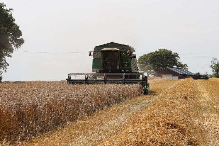 Cette campagne 2026 s'est déroulée "dans un contexte de fortes chaleurs et de canicule, imposant une adaptation permanente de l'organisation de la coopérative", rappelle la coopérative Terrena.