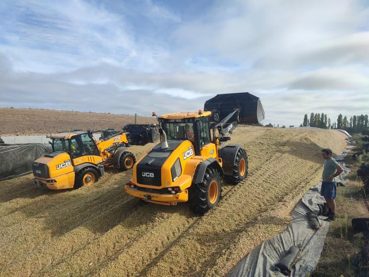 Le tassage du silo pendant les ensilages. Le maïs servira à l'alimentation des 130 vaches laitières (race Prim'Holstein) de Sébastien Lair.