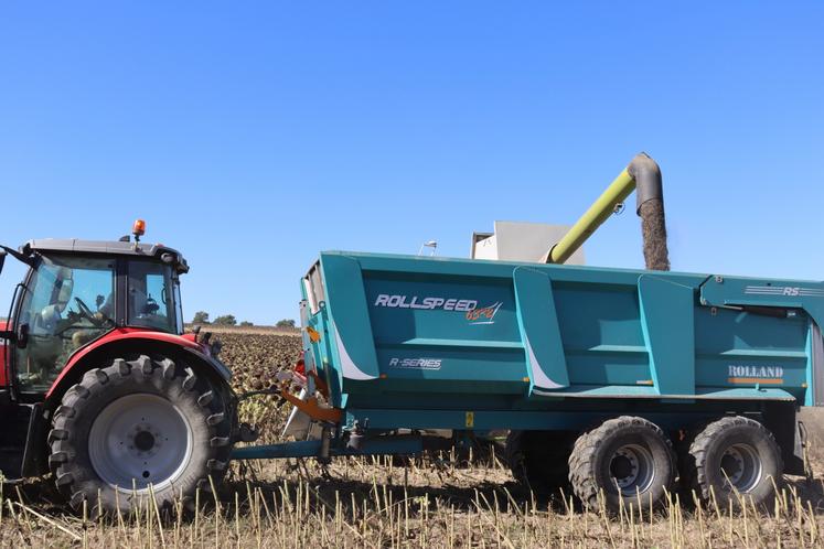 "Ça fait du volume dans les bennes, mais peu de poids au final", regrette l'agriculteur azéen.