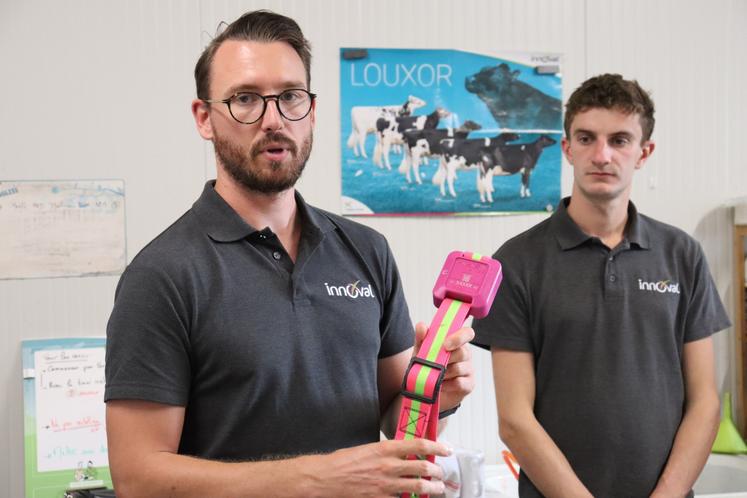 Matthieu Marteau (à gauche), responsable des solutions numériques chez Innoval, et Jean-Baptiste Drogou, animateur de marché NEO Connect chez Innoval.