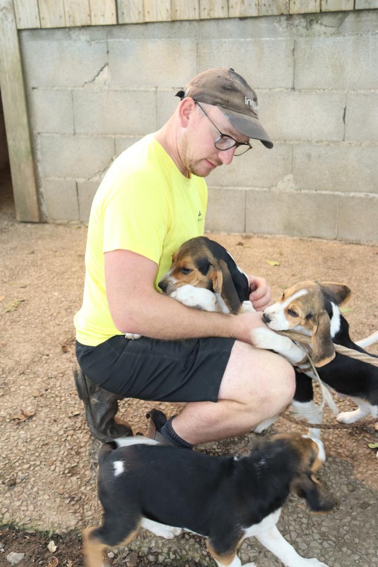 "On passe beaucoup de temps au dressage, mais nos chiens nous le rendent bien", assure Romain Chaplet en compagnie de ses Beagle âgés de deux ans.