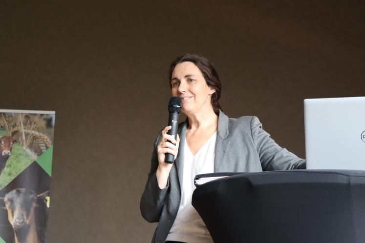 Maître Virginie Marsollier-Biela (en haut à droite) a mené une intervention sur la gestion du patrimoine et la transmission.