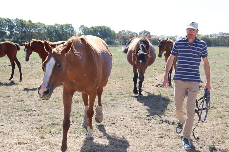 Grâce à son système tout herbe, le Haras de La Ronceraie est 100 % autonome en foin. "À l'avenir, on en produira assez pour en revendre", estime le dirigeant de l'exploitation, Maxime Guyon.