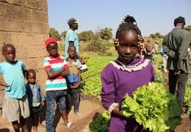 Depuis six ans, Afdi Pays de la Loire est partenaire de l’Association des jeunes agriculteurs du gouvernorat de Gafsa, dans l’ouest tunisien.
