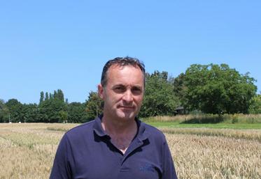 Christophe Guillon, responsable de marché Production végétale.