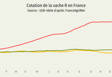 La cotation de la vache R a encore gagné 8 centimes sur les deux premières semaines de l'année, pour atteindre 7,59 €/kg de carcasse en semaine 3 (+ 35 % /2025).
