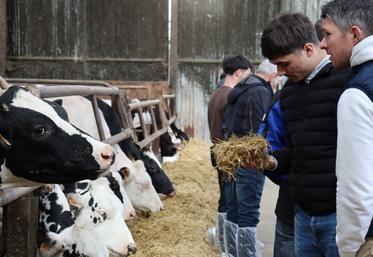 Après l'assemblée générale statutaire du matin à Ernée, les adhérents de l'association Prim'Holstein de la Mayenne ont pris la route de Saint-Pierre-des-Landes pour une visite de l'exploitation de Benoît Delacre.