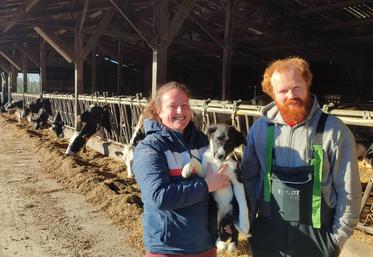 Ilona et Jean-Camille Benoît, éleveurs de vaches laitières sur le chemin de Civray à Athée, accompagnés de leur chienne Happy, une jeune border collie.