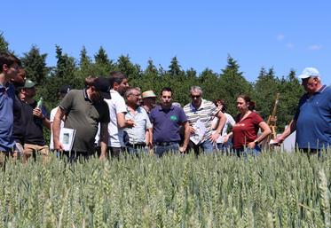 Jeudi 21 mai, de 14h à 17h, plusieurs ateliers, consacrés à la gestion des adventices dans les rotations, se sont enchaînés sur la plateforme expérimentale de Saint-Fort dans le cadre d'une rencontre technique organisée par la Chambre d'agriculture.