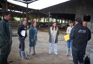 Le groupe de six éleveurs intégrés à l'action veau se retrouve pour la deuxième fois.