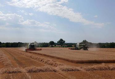 "Avec deux machines dans le champ, ça va tout de suite plus vite", commente David Cadet, qui a fait appel à l'entreprise Agrimaine et à ses salariés pour réaliser ses moissons.