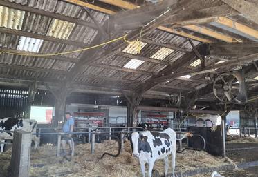 En urgence, les frères Trémeau ont acheté des tuyaux et récupéré un ancien pulvé afin d'arroser les vaches en bâtiment.
