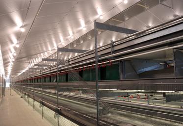 Selon le cahier des charges "bien-être animal" de Noréa, les poulettes sont élevées en volière (photo prise avant l'arrivée des poules). Les œufs sont ensuite envoyés sur le tapis (à droite) avant d'être mis en palette par Fabien Durand, le gérant.