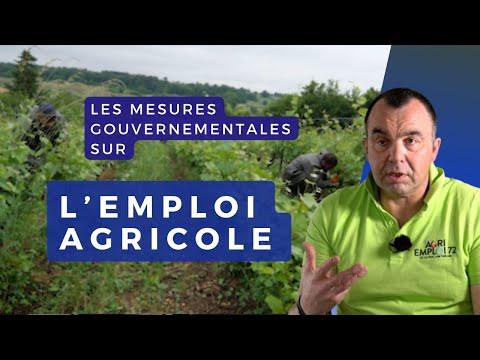 Des mesures pour l'emploi de main d'œuvre dans l'agriculture | Réussir ...