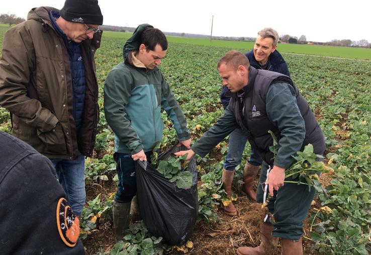 Florent Leblois, agronome à la Chambre d'agriculture, a réalisé des pesées de colza de sortie d'hiver.