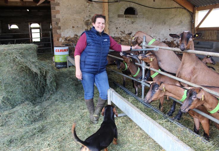 Sophie Chauvin a créé une extension en bois de sa chèvrerie pour monter son cheptel à 50 chèvres.