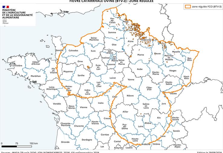 La zone régulée au titre de la FCO-3 au 29 août 2024.